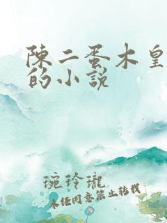陈二蛋木皇真经的小说