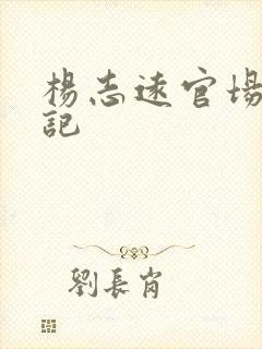 杨志远官场飙升记