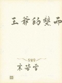 王爷的双面王妃