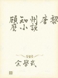 顾知州唐黎叫什么小说