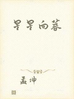 星星向蓉