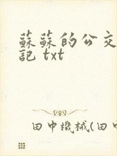 苏苏的公交车日记 txt