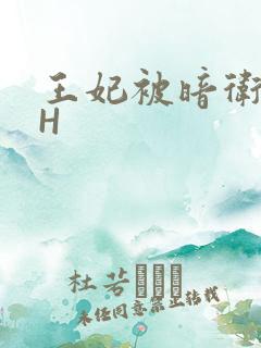 王妃被暗卫肉高H