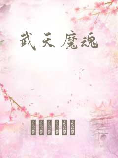 武天魔魂