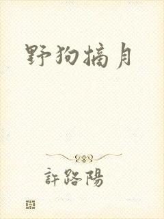 野狗摘月