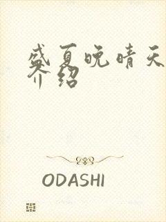 盛夏晚晴天剧情介绍