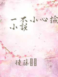 一不小心捡到爱小说