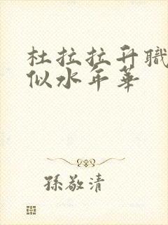 杜拉拉升职记之似水年华