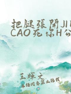 把腿张开JI巴CAO死你H公园