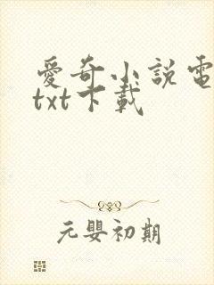 爱奇小说电子书txt下载
