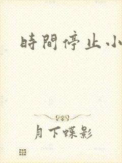 时间停止小说