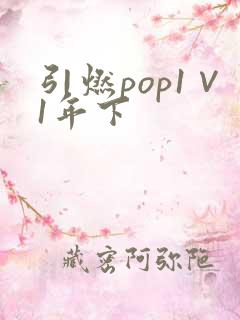 引燃pop1∨1年下