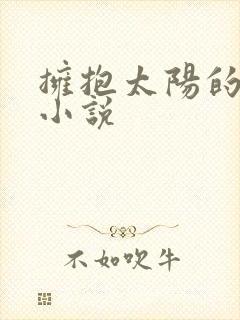 拥抱太阳的月亮小说