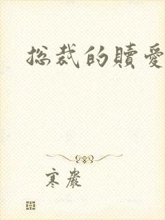 总裁的赎爱宝贝