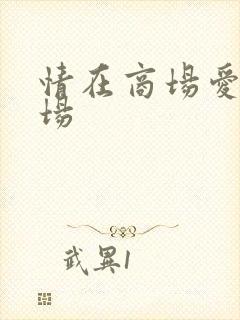 情在商场爱在官场