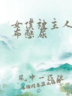 女仆被主人用胶布憋尿