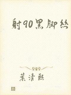 射90黑脚丝女