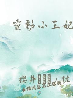 灵动小王妃