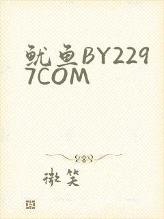 鱿鱼BY2297COM