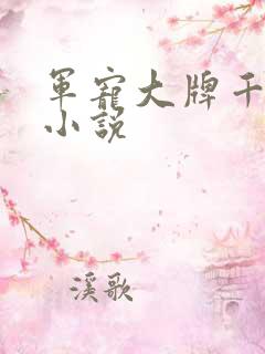 军宠大牌千金 小说