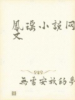 凤瑶小说网高辣文