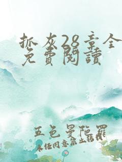 抓灰28章全部免费阅读