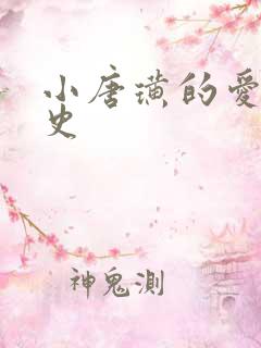 小唐璜的爱情历史