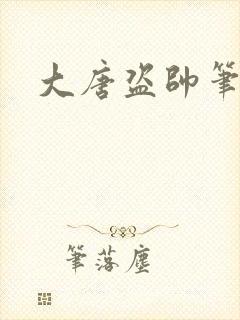 大唐盗帅笔趣阁