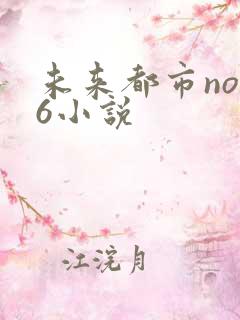 未来都市no.6小说