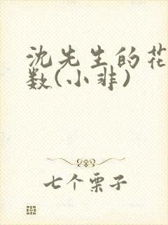 沈先生的花式调数(小非)