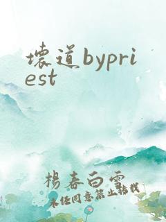 坏道bypriest
