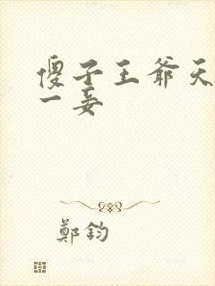 傻子王爷天下第一妾