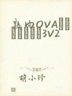 熟肉OVAちゃんはしたい3V2