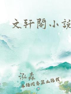 文轩阁小说网
