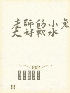 老师的小兔子好大好软水