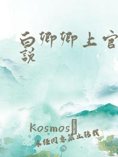 白卿卿上官辞小说