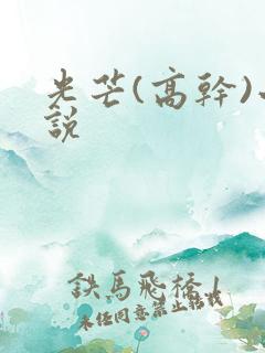 光芒(高干)小说