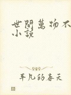 世间万物不及你小说