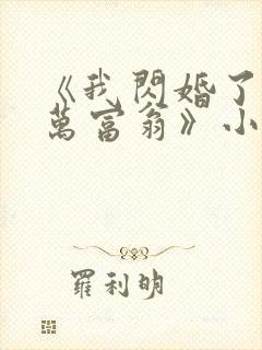 《我闪婚了个亿万富翁》小说