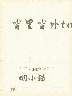 窗里窗外txt
