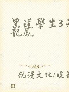 黑道学生3天门龙凤