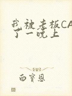 我被老板CAO了一晚上