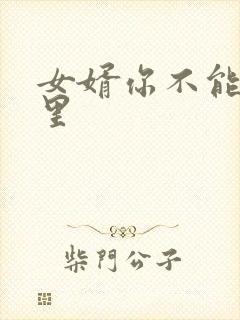 女婿你不能谢在里