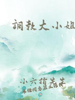 调教大小姐