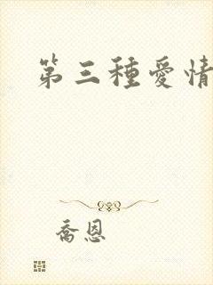 第三种爱情续集
