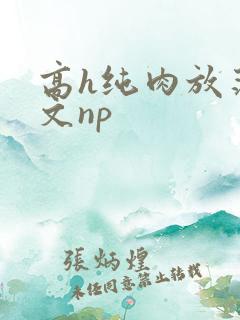 高h纯肉放荡h文np