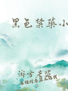 黑色禁药小说