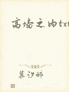 高墙之内txt