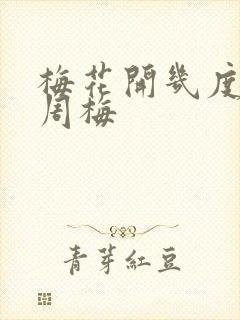 梅花开几度老张周梅