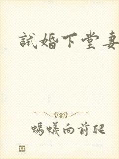 试婚下堂妻